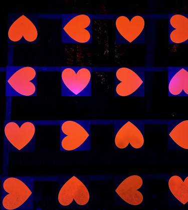 BergparkLeuchten2024_Kassel Marketing_NK (15)