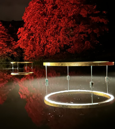 BergparkLeuchten2024_Kassel Marketing_NK (37)