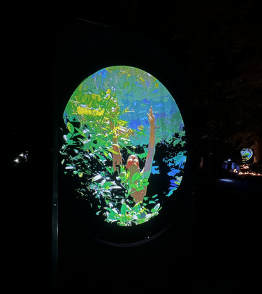 BergparkLeuchten2024_Kassel Marketing_NK (42)