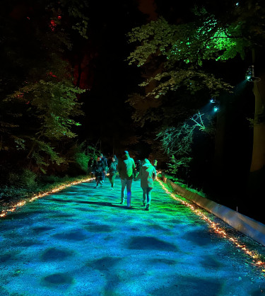 BergparkLeuchten2024_Kassel Marketing_NK (52)