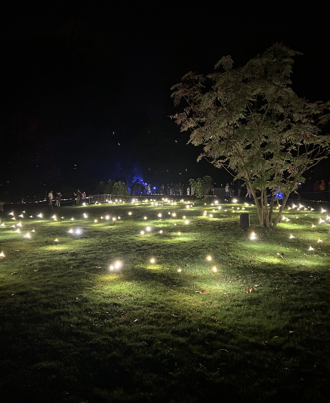 BergparkLeuchten2024_Kassel Marketing_NK (57)