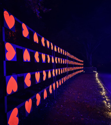 BergparkLeuchten2024_Kassel Marketing_NK (60)