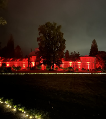 BergparkLeuchten2024_Kassel Marketing_NK (61)