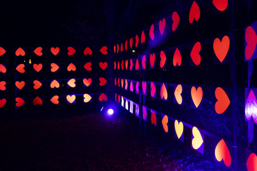 Lightlines