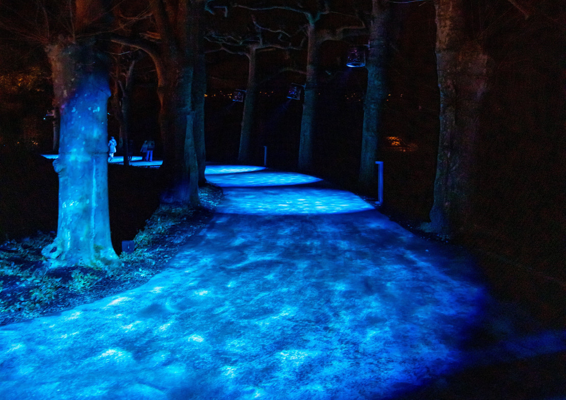 Olivia-dAboville.-Photo-Ricardo-Nunes